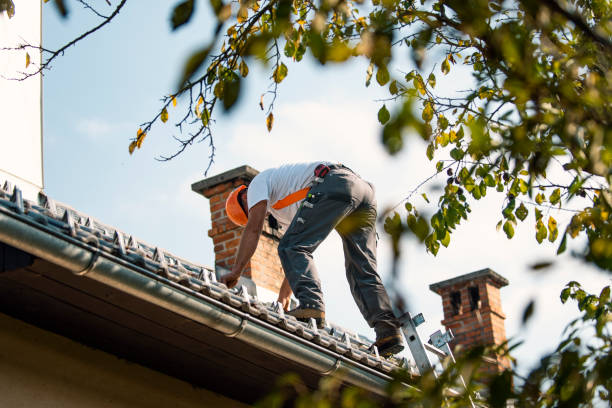 Best Roof Replacement Cost  in Carteret, NJ