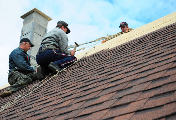 Best Shingle Roofing Installation  in Carteret, NJ